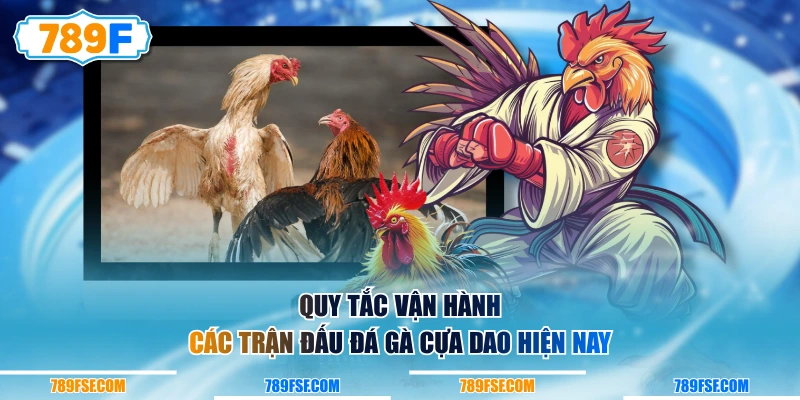 Quy tắc vận hành các trận đấu đá gà cựa dao hiện nay